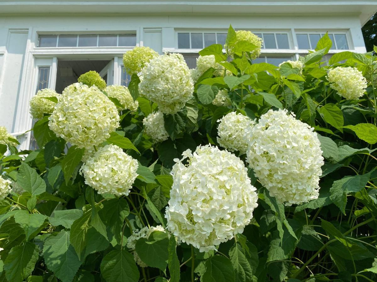 Bloom Farm Guesthouse Mount Vision Exterior foto